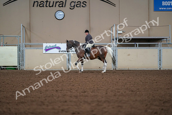 2019 Morgan Horse Show - Aug 30, 2019 - 16165