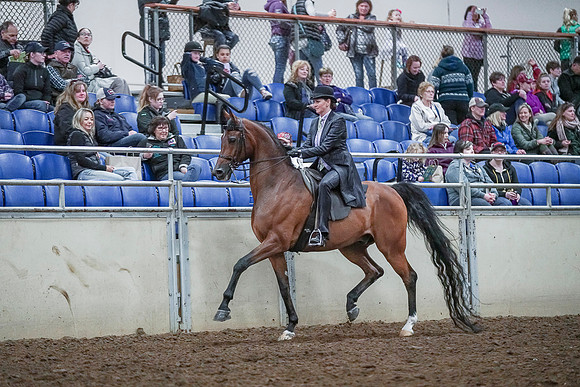 Spring Fling - Saturday - April 20, 2019  -  00643