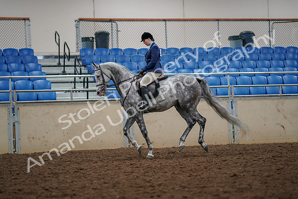 2019 Morgan Horse Show - Aug 30, 2019 - 22392