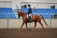 2019 Morgan Horse Show - Aug 30, 2019 - 16006