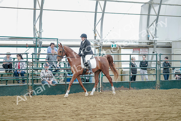 July 21, 2019 - 09587