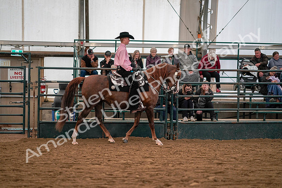 July 19, 2019 - 10097