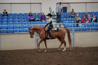 2019 Morgan Horse Show - Aug 30, 2019 - 25873