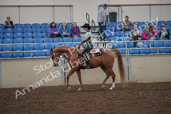 2019 Morgan Horse Show - Aug 30, 2019 - 25873