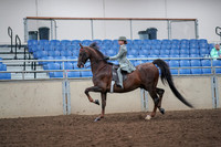 2019 Morgan Horse Show - Aug 30, 2019 - 17786