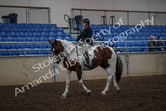 2019 Morgan Horse Show - Aug 30, 2019 - 31108