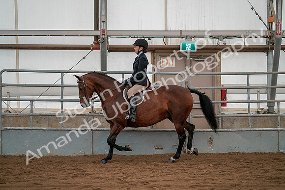 July 19, 2019 - 3929