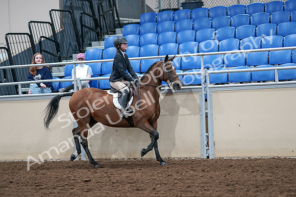 2020 - AB Morgan Horse - Fri, Sept 04 - 02179