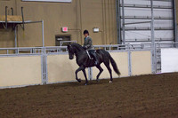 Class 178 - Morgan Hunter Pleasure, Stake