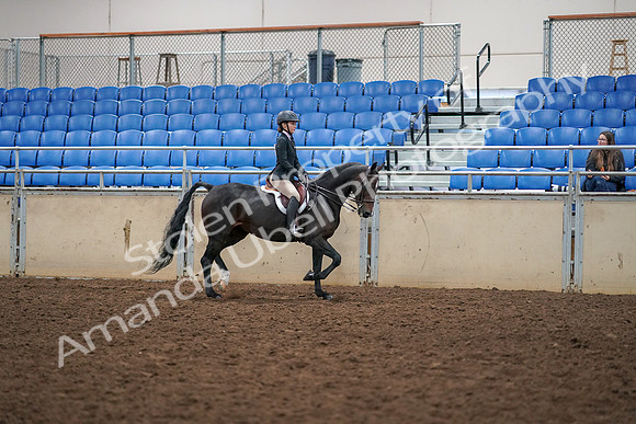 2019 Morgan Horse Show - Aug 30, 2019 - 12443