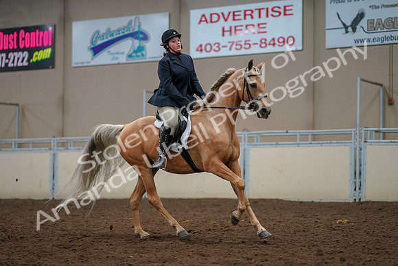2019 Morgan Horse Show - Aug 30, 2019 - 22526