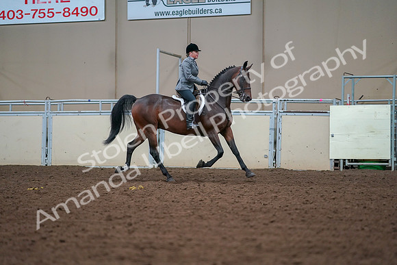 2019 Morgan Horse Show - Aug 30, 2019 - 20931