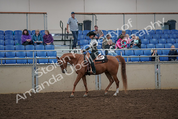 2019 Morgan Horse Show - Aug 30, 2019 - 26003