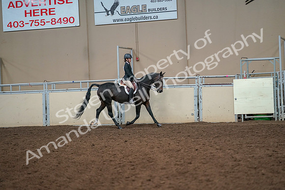 2019 Morgan Horse Show - Aug 30, 2019 - 12351
