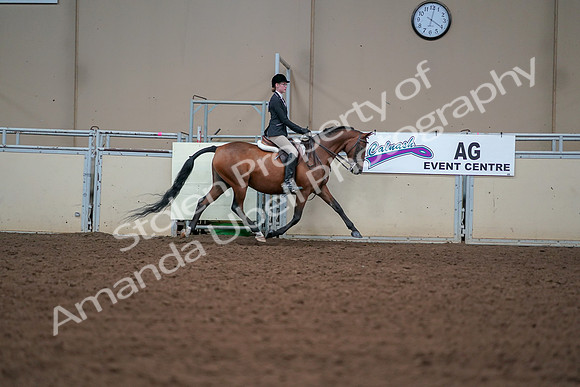 2019 Morgan Horse Show - Aug 30, 2019 - 20922