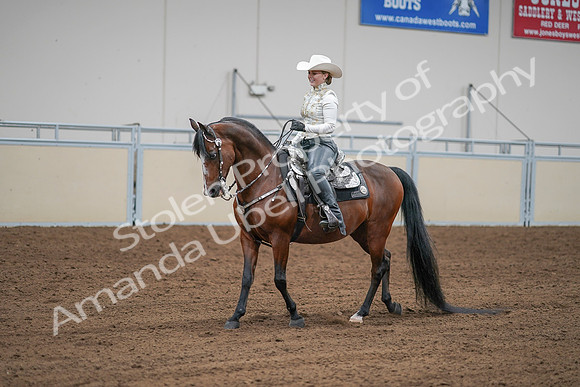 2020 - AB Morgan Horse - Sat, Sept 05 - 09040