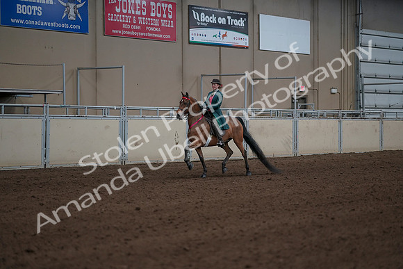 2019 Morgan Horse Show - Sept 01, 2019 - 13437
