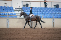 2019 Morgan Horse Show - Sept 01, 2019 - 03658