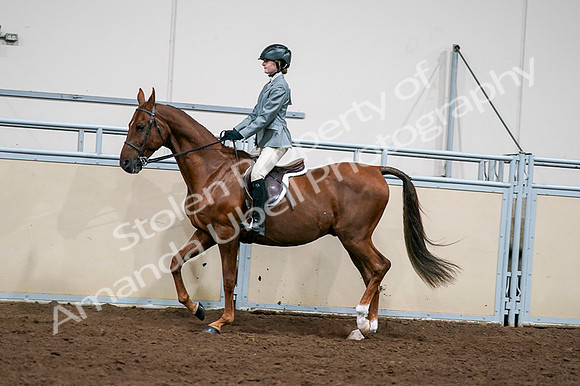 2020 - AB Morgan Horse - Fri, Sept 04 - 03041