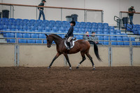 2019 Morgan Horse Show - Aug 31, 2019 - 05559