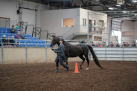 Class 075 - CMHA Silver Medal Showmanship 21 & under