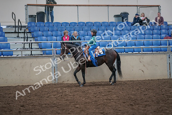 2019 Morgan Horse Show - Aug 31, 2019 - 16317
