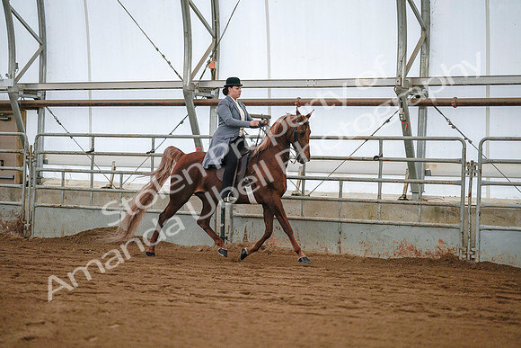 July 20, 2019 - 17105
