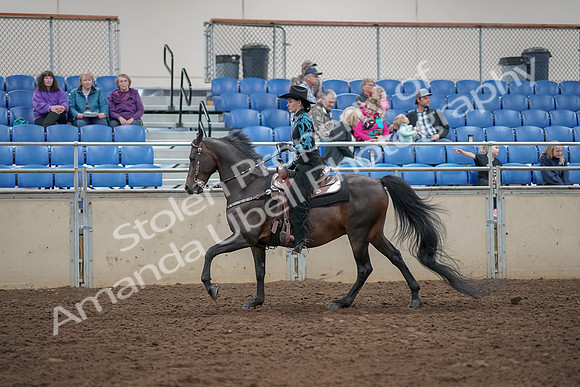 2019 Morgan Horse Show - Aug 30, 2019 - 26082