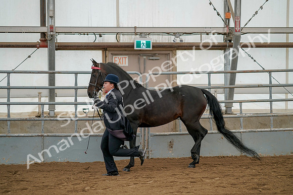July 19, 2019 - 2075