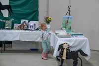 2019 Morgan Horse Show - Sept 01, 2019 - 05888