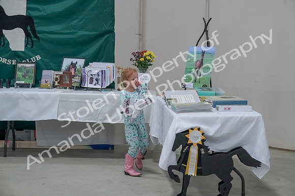 2019 Morgan Horse Show - Sept 01, 2019 - 05888
