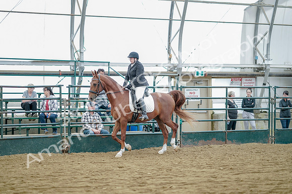 July 21, 2019 - 09590