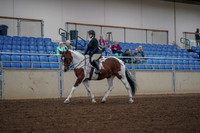 2019 Morgan Horse Show - Aug 30, 2019 - 14852