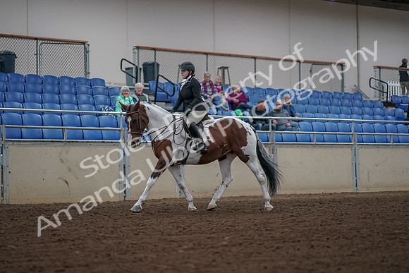 2019 Morgan Horse Show - Aug 30, 2019 - 14852