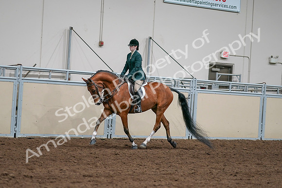 2020 - AB Morgan Horse - Sat, Sept 05 - 05012