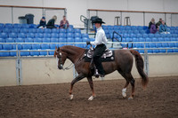 2019 Morgan Horse Show - Aug 31, 2019 - 14109