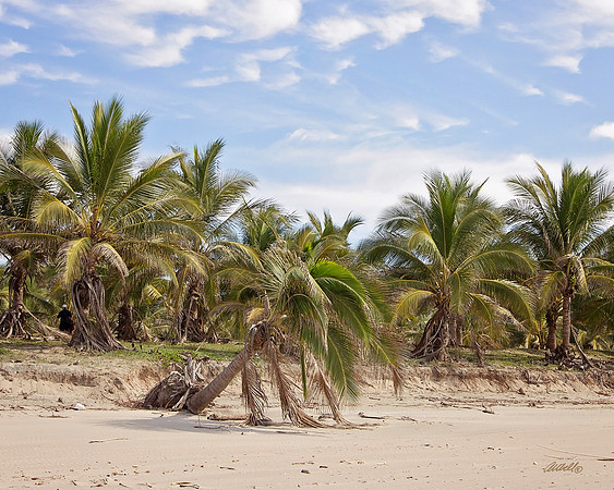 Mexico - 20