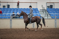 2019 Morgan Horse Show - Aug 31, 2019 - 07153
