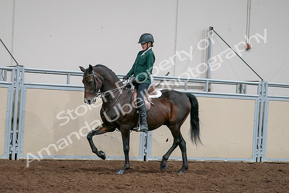 2020 - AB Morgan Horse - Sat, Sept 05 - 05044
