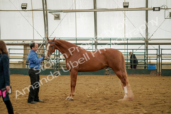 July 19, 2019 - 907