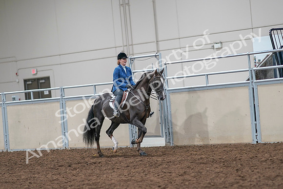 2020 - AB Morgan Horse - Sat, Sept 05 - 05069