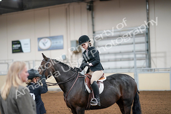 2020 - AB Morgan Horse - Fri, Sept 04 - 02089