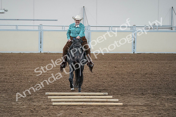 2020 - AB Morgan Horse - Fri, Sept 04 - 00633