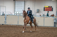 2020 - AB Morgan Horse - Sat, Sept 05 - 09368
