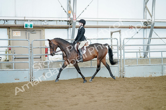 July 21, 2019 - 03356