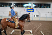 2020 - AB Morgan Horse - Fri, Sept 04 - 00014
