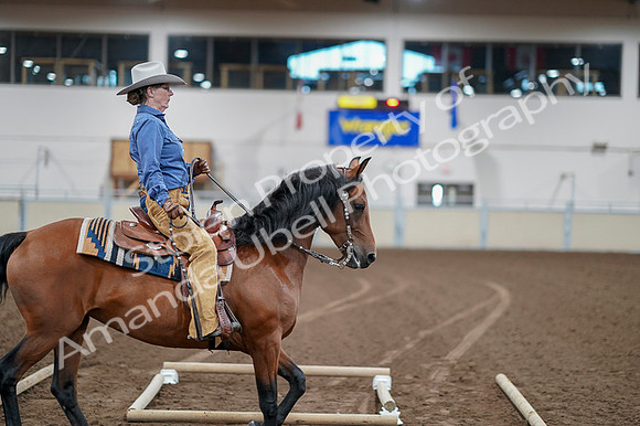 2020 - AB Morgan Horse - Fri, Sept 04 - 00014