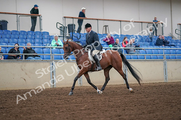 2019 Morgan Horse Show - Aug 30, 2019 - 16270