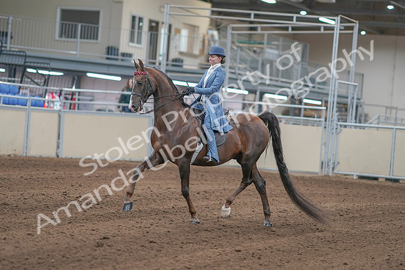 2020 - AB Morgan Horse - Sun, Sept 06 - 00011