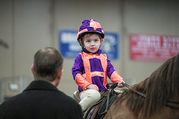 Spring Fling - Saturday - April 20, 2019  -  00129